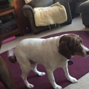 Meet your Posher, Drew